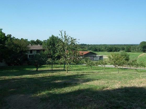 Agriturismo Cargandino Villa Mezzomerico Bagian luar foto