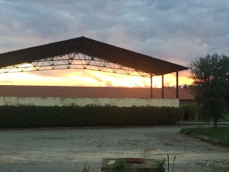 Agriturismo Cargandino Villa Mezzomerico Bagian luar foto