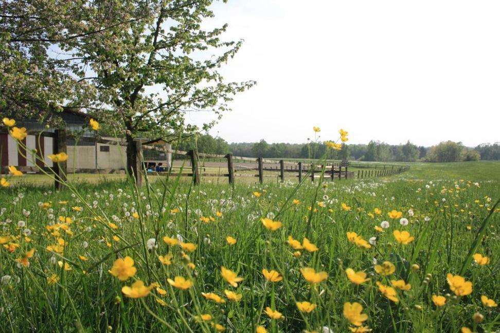 Agriturismo Cargandino Villa Mezzomerico Bagian luar foto